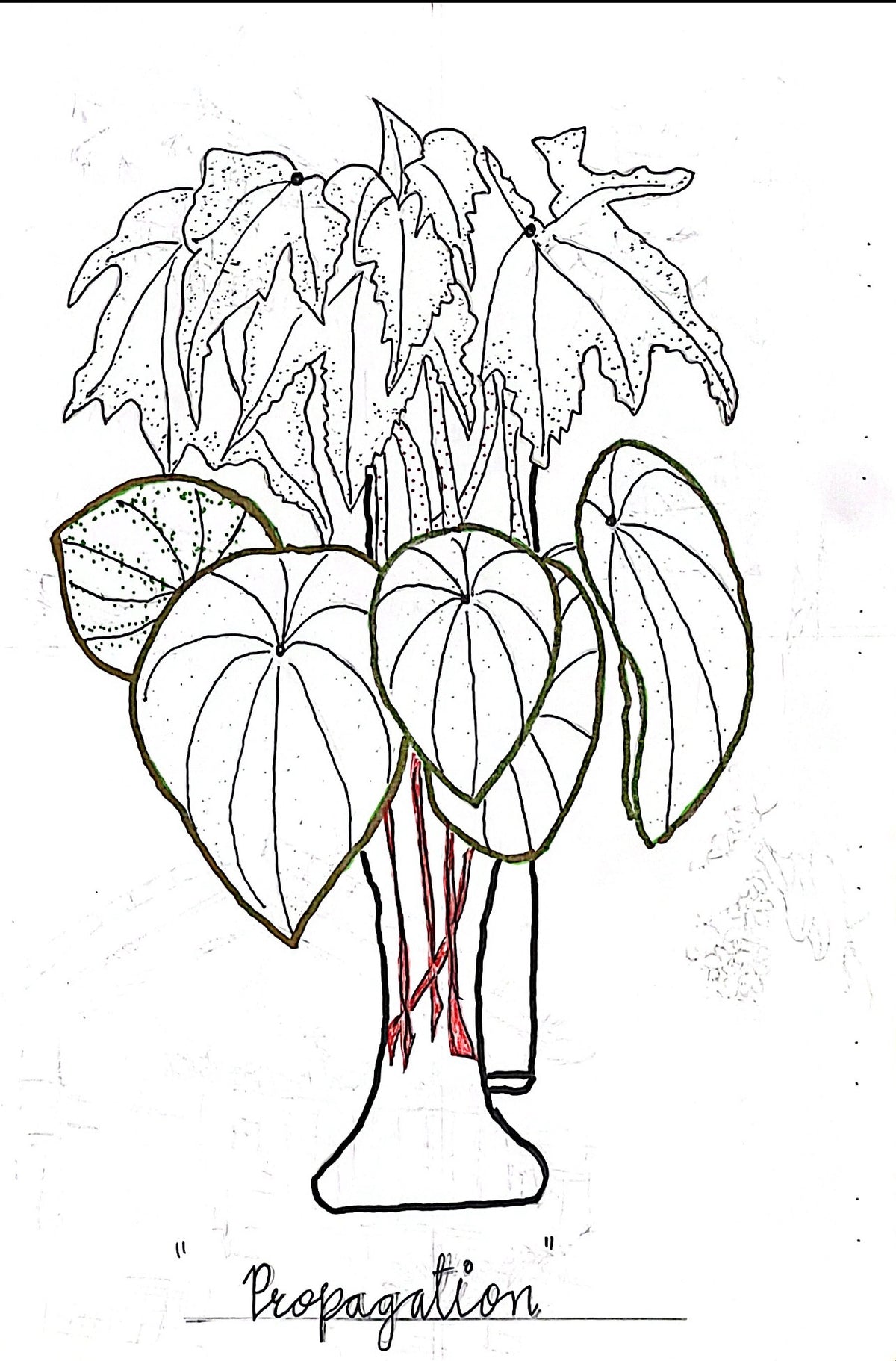 Sketch to Color – download both for kids and adults.