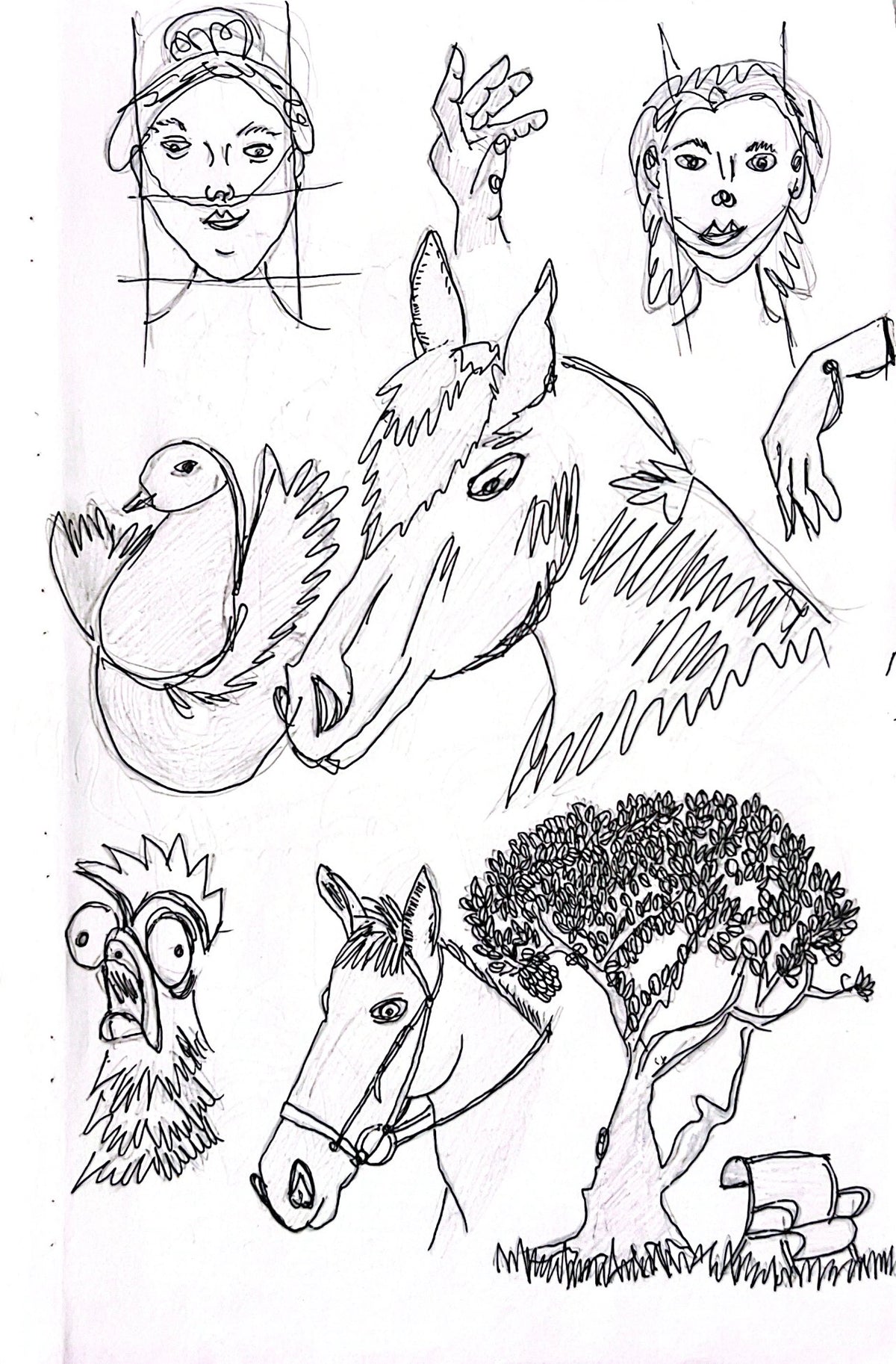 A black and white sketchbook page filled with various hand-drawn doodles, including faces, a horse, a bird, a chicken, and a tree.
