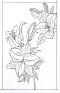 Lily Botanical Line Art – Printable Coloring Page
