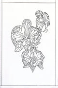 Orchid Coloring Page – Printable Digital Download