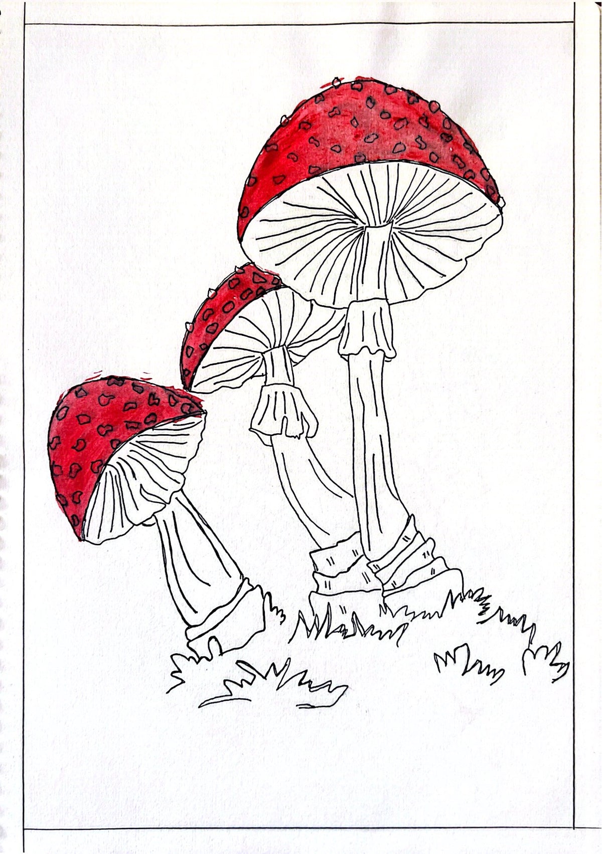 Fly Agaric Mushroom Art Print – Digital Download