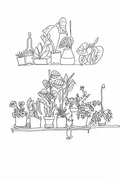 Refined Plant Shelf Illustration