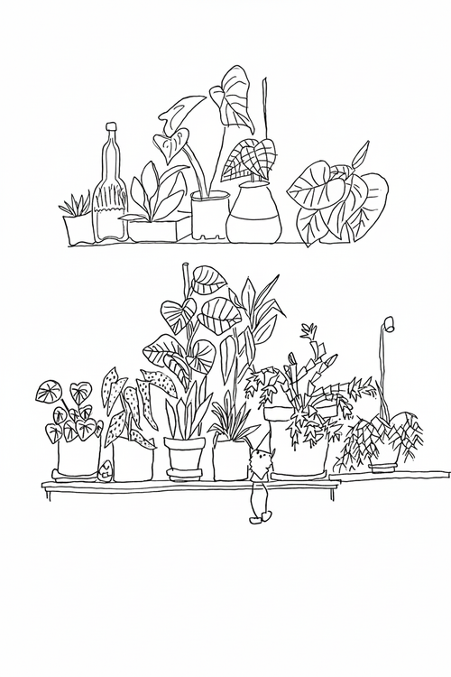 Refined Plant Shelf Illustration